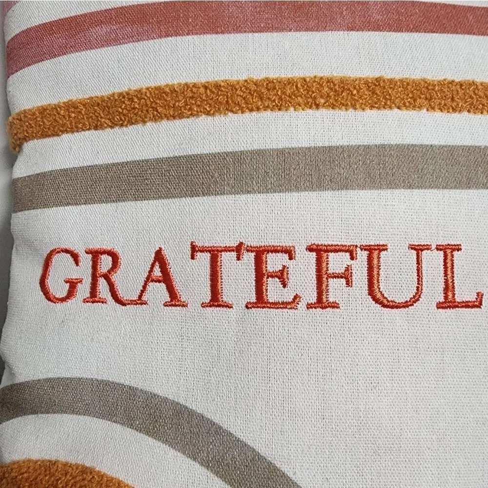 Nwt Boho Grateful Rainbow Pillow with tassels, Size 12